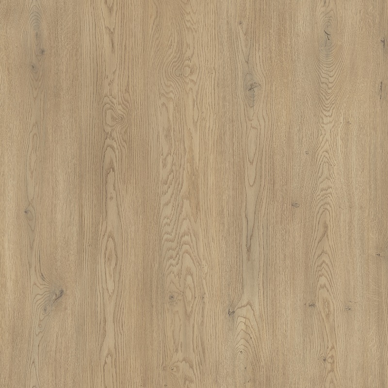 ●BONUS DISC Dysk No Limited SL gen 3 pod hamulec szczękowy - No Limited