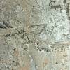 Blat Luxeform W576 1U Schorl odporn. na wilgoć 3050х600x28mm - small