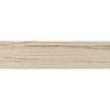 D4/29 Obrzeża PVC SE Craft Szary 22х2mm (100 mb) Maag** - small
