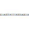 Taśma LED 2835 SMD, 120 LEDs/M, 9,6W, 12V, IP20, światło białe zimne 5000К, kupic - zdjecie №2 - small