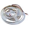 Taśma LED 2835 SMD, 120 LEDs/M, 9,6W, 12V, IP20, światło białe zimne 5000К - small