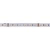 Taśma LED 2835 SMD, 120 diod/m, 19 W, 24 V, IP20, RGB+W (4000 K), kupic - zdjecie №2 - small