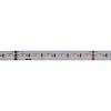 Taśma LED 2835 SMD, 120 diod/m, 24 W, 24 V, IP20, RGB+CCT (3000–6500 K), kupic - zdjecie №2 - small