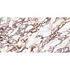 Spiek Laminam I Naturali Calacatta Viola BM(B) soft touch 12,5 mm 3240х1620, kupic - zdjecie №2 - small