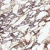 Spiek Laminam I Naturali Calacatta Viola BM(B) soft touch 12,5 mm 3240х1620 - small