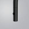 Bateria kuchenna Pescara J pull-out spray Czarna Stal szlachetna Franke 115.0741.695, nie drogie - zdjecie №3 - small