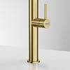 Bateria kuchenna Pescara J pull-out spray Złoto Franke 115.0741.697, cena - zdjecie №5 - small
