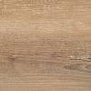 MDF ARPA 4587 Alevé / ARPA 4587 Alevé - small