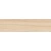 5441 Obrzeże ABS Brzoza 23x0,8mm (150 m.b.) REHAU - small