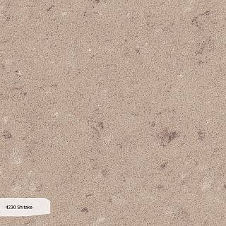Konglomerat kwarcowy Caesarstone 4230 Shitake 20 mm