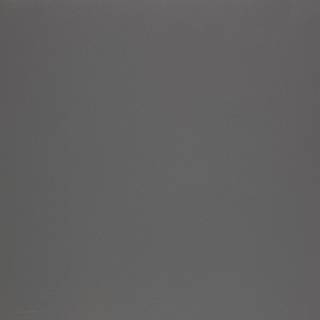 Sklejka Arpa 0623 Erre / Arpa 0623 Erre 2500x1250x19