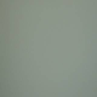MDF FENIX NTM BLOOM 0794 / FENIX NTM BLOOM 0794 10mm