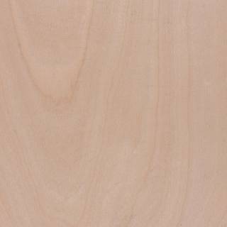 Fornir Brzoza х1 MDF