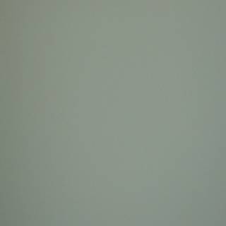 MDF FENIX NTM BLOOM 0794 / FENIX NTM BLOOM 0794 19mm