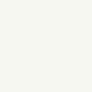 Płyta wiórowa Kronospan 0101 PE Biały Frontowy wilgocioodporny P3 2800х2070х18mm