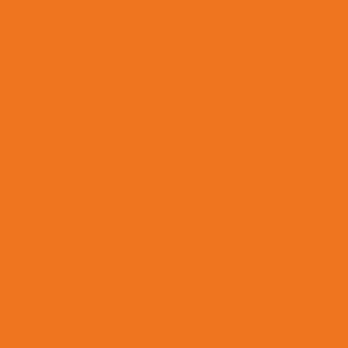 Płyta wiórowa PFLEIDERER U16010 MP Orange 2800x2100x18мм
