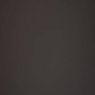 MDF FENIX NTM BLOOM 0793 / Arpa 0797 R 3050x1300x19