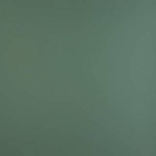 MDF FENIX NTM BLOOM 0773 / Arpa 0783 R 3050x1300x19