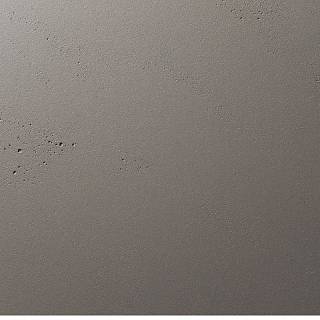 Panel RAUVISIO Crystal 2727L Trench Coat Cube 2760x1220x19
