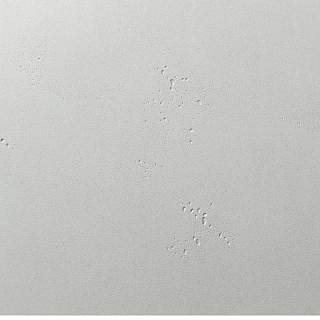 Panel  RAUVISIO Crystal 2729L Silver lake Cube 2760x1220x19