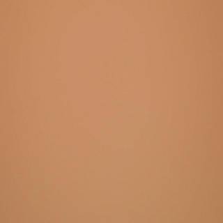MDF FENIX NTM BLOOM 0791 / Arpa 0778 R 3050x1300x19