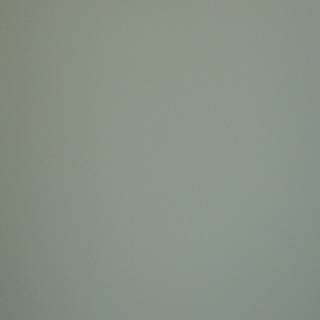 MDF FENIX NTM BLOOM 0794 / Arpa 0798 R 3050x1300x19