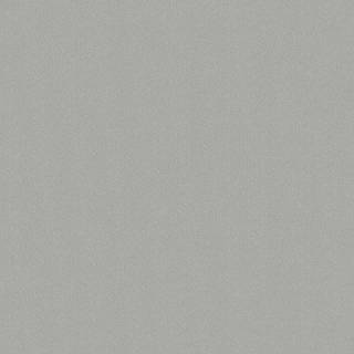 Płyta wiórowa PF8009 SG Inox Fantazyjny 2800x2100x18mm