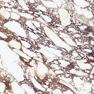Spiek Laminam I Naturali Calacatta Viola BM(А) soft touch 12, 5 mm 3240х1620