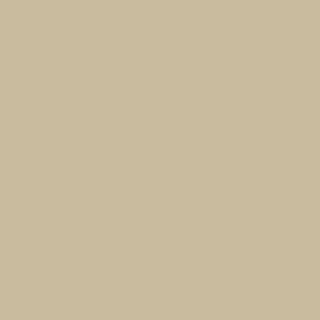 Panel RAUVISIO Crystal 3207L Duna MAT 2800x1300x19