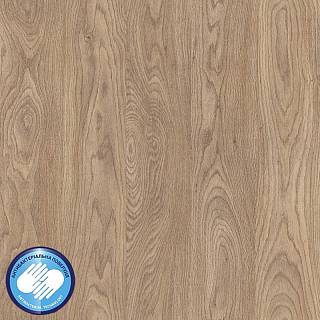 Panel ścienny Swiss Krono 3823 OW Dąb Nowy Jork antybakteryjny 4100×600×10, 80 mm