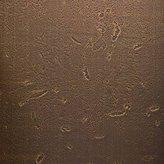 MDF Homapal 500/502 Brass Moon / Arpa 0509 R