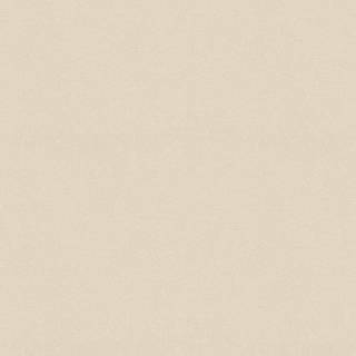 Blat Swiss Krono C450 DC Galite R6 antybakteryjny odporny na wilgoć 4100×600×38 mm