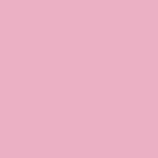 Płyta wiórowa Egger U 363 ST9 Różowy Flamingo 2800х2070х18 mm