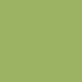 Płyta wiórowa Egger U626 ST9 Zieleń kiwi  2800х2070х18 mm