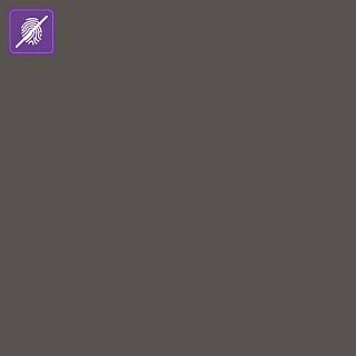 Panel DDF 85383HM Acrylux-MAT(AFP) HiPS Premium Szary NIEMANN